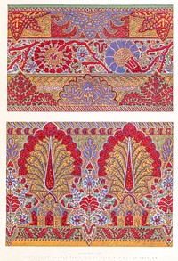 Portions of shawls from the Industrial arts of the Nineteenth Century (1851-1853) by Sir Matthew Digby wyatt (1820-1877).