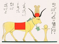 Vintage illustration of Apis