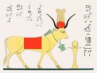 Apis illustration from Pantheon Egyptien (1823-1825) by <a href="https://www.rawpixel.com/search/Leon%20Jean%20Joseph%20Dubois?&amp;sort=curated&amp;page=1">Leon Jean Joseph Dubois</a> (1780-1846). Original from The New York Public Library. Digitally enhanced by rawpixel.