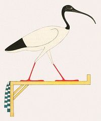 Ibis, emblem of Thoth illustration from Pantheon Egyptien (1823-1825) by <a href="https://www.rawpixel.com/search/Leon%20Jean%20Joseph%20Dubois?&amp;sort=curated&amp;page=1">Leon Jean Joseph Dubois</a> (1780-1846). Original from The New York Public Library. Digitally enhanced by rawpixel.