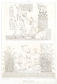 Swamp hunting from Histoire de l&#39;art &eacute;gyptien (1878) by <a href="https://www.rawpixel.com/search/%C3%89mile?sort=curated&amp;page=1">&Eacute;mile Prisse d&#39;Avennes</a>. Original from The New York Public Library. Digitally enhanced by rawpixel.