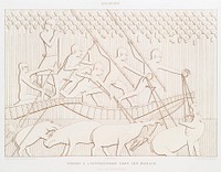 Hippopotamus hunt in the marshes from Histoire de l'art &eacute;gyptien (1878) by &Eacute;mile Prisse d'Avennes. Original from The New York Public Library. Digitally enhanced by rawpixel.