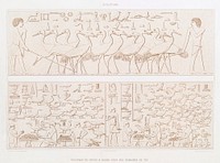 Herd of cranes &amp; Barnyard in area of Tei from Histoire de l&#39;art &eacute;gyptien (1878) by <a href="https://www.rawpixel.com/search/%C3%89mile?sort=curated&amp;page=1">&Eacute;mile Prisse d&#39;Avennes</a>. Original from The New York Public Library. Digitally enhanced by rawpixel.