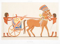 Princely chariot from Histoire de l&#39;art &eacute;gyptien (1878) by <a href="https://www.rawpixel.com/search/%C3%89mile?sort=curated&amp;page=1">&Eacute;mile Prisse d&#39;Avennes</a>. Original from The New York Public Library. Digitally enhanced by rawpixel.