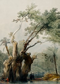 The holy tree of Metereah illustration by David Roberts (1796&ndash;1864). Original from The New York Public Library. Digitally enhanced by rawpixel.