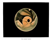 The planet Mars from the Trouvelot<br />illustration wall art print and poster.