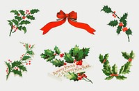 Vintage holly illustrations collection