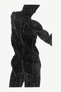 Human anatomy psd in silhouette print, remixed from artworks by Reijer Stolk