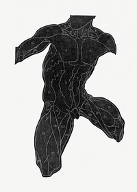 Human anatomy psd in silhouette, remixed from artworks by Reijer Stolk