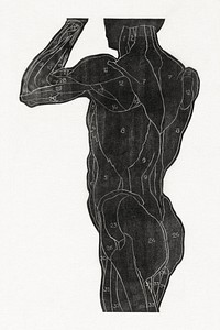 Anatomical study of a man's back and butt muscles in silhouette (1906–1945) print in high resolution by Reijer Stolk. Original from the Rijksmuseum. Digitally enhanced by rawpixel.