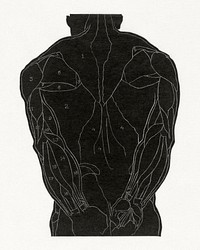 Anatomical study of a man's back muscles in silhouette (1906–1945) print in high resolution by Reijer Stolk. Original from the Rijksmuseum. Digitally enhanced by rawpixel.