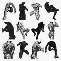 Human anatomy psd in silhouette set, remixed from artworks by Reijer Stolk