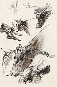 Sketches of Cattle, Irvington (September 1876) by <a href="https://www.rawpixel.com/search/Samuel%20Colman?sort=curated&amp;page=1">Samuel Colman</a>. Original from The Smithsonian Institution. Digitally enhanced by rawpixel.