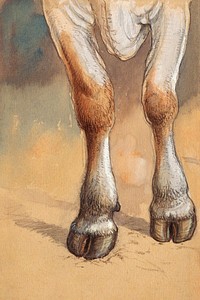 Forelegs of a Standing Cow or Ox, Newport (1871) by <a href="https://www.rawpixel.com/search/Samuel%20Colman?sort=curated&amp;page=1">Samuel Colman</a>. Original from The Smithsonian Institution. Digitally enhanced by rawpixel.