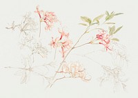Azaleas (1876) by <a href="https://www.rawpixel.com/search/Samuel%20Colman?sort=curated&amp;page=1">Samuel Colman</a>. Original from The Smithsonian Institution. Digitally enhanced by rawpixel.