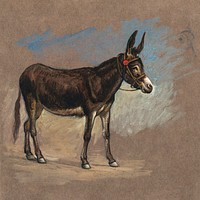 Study of a Mule (1872&ndash;1875) by <a href="https://www.rawpixel.com/search/Samuel%20Colman?sort=curated&amp;page=1">Samuel Colman</a>. Original from The Smithsonian Institution. Digitally enhanced by rawpixel.