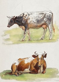 Cattle, a Cow Walking and a Cow Crouching (1<a href="javascript:void('Spell Check As You Type')" onclick="CKEDITOR.tools.callFunction(10,this);return false;"> Spell Check As You Type (Selected)</a>875&ndash;1880) by <a href="https://www.rawpixel.com/search/Samuel%20Colman?sort=curated&amp;page=1">Samuel Colman</a>. Original from The Smithsonian Institution. Digitally enhanced by rawpixel.