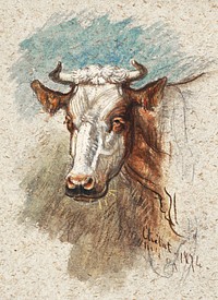 Head of a Cow, &Eacute;tretat (1874) by <a href="https://www.rawpixel.com/search/Samuel%20Colman?sort=curated&amp;page=1">Samuel Colman</a>. Original from The Smithsonian Institution. Digitally enhanced by rawpixel.