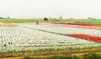 Tulip Fields (1890–1922) painting in high resolution by Gerrit Willem Dijsselhof. Original from the Rijksmuseum. Digitally enhanced by rawpixel.