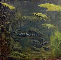 Pike and Perch in an Aquarium (1910–1920) painting in high resolution by Gerrit Willem Dijsselhof. Original from the Rijksmuseum. Digitally enhanced by rawpixel.