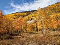 Fall aspens in San Juan County, Colorado. Original image from Carol M. Highsmith’s America, Library of Congress collection. Digitally enhanced by rawpixel.