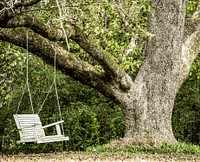 Swing in a tree, Mississippi. Original image from Carol M. Highsmith&rsquo;s America, Library of Congress collection. Digitally enhanced by rawpixel.