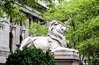 Lion Statue at the New York Public Library. Original image from Carol M. Highsmith&rsquo;s America, Library of Congress collection. Digitally enhanced by rawpixel.