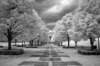 Lincoln memorial park in Washington D.C. Original image from Carol M. Highsmith’s America, Library of Congress collection. Digitally enhanced by rawpixel.