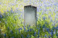 Headstone in field of flowers. Original image from Carol M. Highsmith&rsquo;s America, Library of Congress collection. Digitally enhanced by rawpixel.