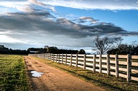 Alabama country road. Original image from Carol M. Highsmith&rsquo;s America, Library of Congress collection. Digitally enhanced by rawpixel.