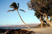 Beach scene on the island of Oahu, Hawaii. Original image from Carol M. Highsmith&rsquo;s America, Library of Congress collection. Digitally enhanced by rawpixel.