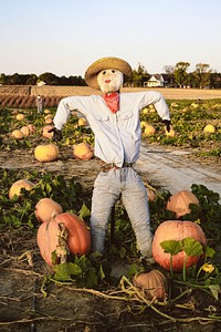 Scarecrow in Maryland. Original image from Carol M. Highsmith&rsquo;s America, Library of Congress collection. Digitally enhanced by rawpixel.