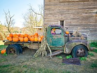 Flatbed truck loaded with pumpkins at Harvest Farm in Valle Crucis, North Carolina. Original image from <a href="https://www.rawpixel.com/search/carol%20m.%20highsmith?sort=curated&amp;page=1">Carol M. Highsmith</a>&rsquo;s America, Library of Congress collection. Digitally enhanced by rawpixel.