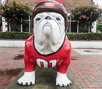 Bulldog mascot in the University of Georgia, Athens. Original image from <a href="https://www.rawpixel.com/search/carol%20m.%20highsmith?sort=curated&amp;page=1">Carol M. Highsmith</a>&rsquo;s America, Library of Congress collection. Digitally enhanced by rawpixel.
