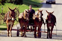 Amish life in Lancaster, Pennsylvania. Original image from <a href="https://www.rawpixel.com/search/carol%20m.%20highsmith?sort=curated&amp;page=1">Carol M. Highsmith</a>&rsquo;s America, Library of Congress collection. Digitally enhanced by rawpixel.
