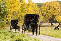 Horse-drawn Amish buggies journey down a country road at Yoder&#39;s Amish Home, an authentic Amish farm that began accepting visitors in 1983 near Walnut Creek in central Ohio. Original image from <a href="https://www.rawpixel.com/search/carol%20m.%20highsmith?sort=curated&amp;page=1">Carol M. Highsmith</a>&rsquo;s America, Library of Congress collection. Digitally enhanced by rawpixel.