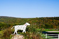 Dalmatian figure at Dog Chapel in St. Johnsbury, Vermont. Original image from Carol M. Highsmith’s America, Library of Congress collection. Digitally enhanced by rawpixel.