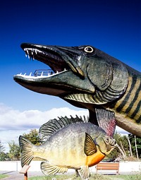 Mammoth Muskie at the Fishing Hall of Fame in Wisconsin. Original image from Carol M. Highsmith&rsquo;s America, Library of Congress collection. Digitally enhanced by rawpixel.