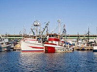 Boats at the docks in Seattle, Washington. Original image from Carol M. Highsmith’s America, Library of Congress collection. Digitally enhanced by rawpixel.