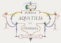 Title Page: Animalia Aqvatilia et Cochiliata (1575&ndash;1580) painting in high resolution by Joris Hoefnagel. Original from The National Gallery of Art. Digitally enhanced by rawpixel.