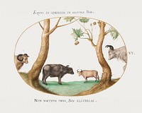 A Variety of Oxen with a Ram and a Water Buffalo by a Plane Tree (1575&ndash;1580) painting in high resolution by Joris Hoefnagel. Original from The National Gallery of Art. Digitally enhanced by rawpixel.