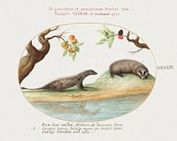 Mongoose and Badger with Fruit Trees (1575&ndash;1580) painting in high resolution by Joris Hoefnagel. Original from The National Gallery of Art. Digitally enhanced by rawpixel.