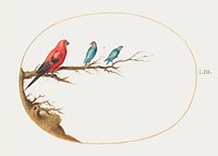 Three Brightly Colored Birds (1575&ndash;1580) painting in high resolution by Joris Hoefnagel. Original from The National Gallery of Art. Digitally enhanced by rawpixel.