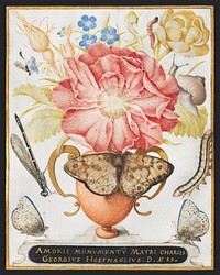 Still Life with Flowers, a Snail and Insects (1589) painting in high resolution by Joris Hoefnagel. Original from The MET Museum. Digitally enhanced by rawpixel.