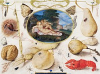 "Venus disarming Amor" in a medallion surrounded by plants, fruits, insects and shellfish (1593–1597) painting in high resolution by Joris Hoefnagel. Original from Statens Museum for Kunst. Digitally enhanced by rawpixel.