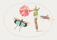 Grasshoppers and a Caterpillar with a Four O&#39;Clock Flower (1575&ndash;1580) painting in high resolution by Joris Hoefnagel. Original from The National Gallery of Art. Digitally enhanced by rawpixel.
