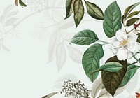 Vintage botanical frame design vector
