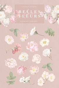 Elegant botanical flower collection vector