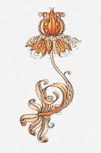 Vintage crown imperial flower design element