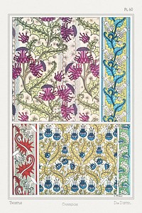 Art nouveau thistle flower pattern collection design resource